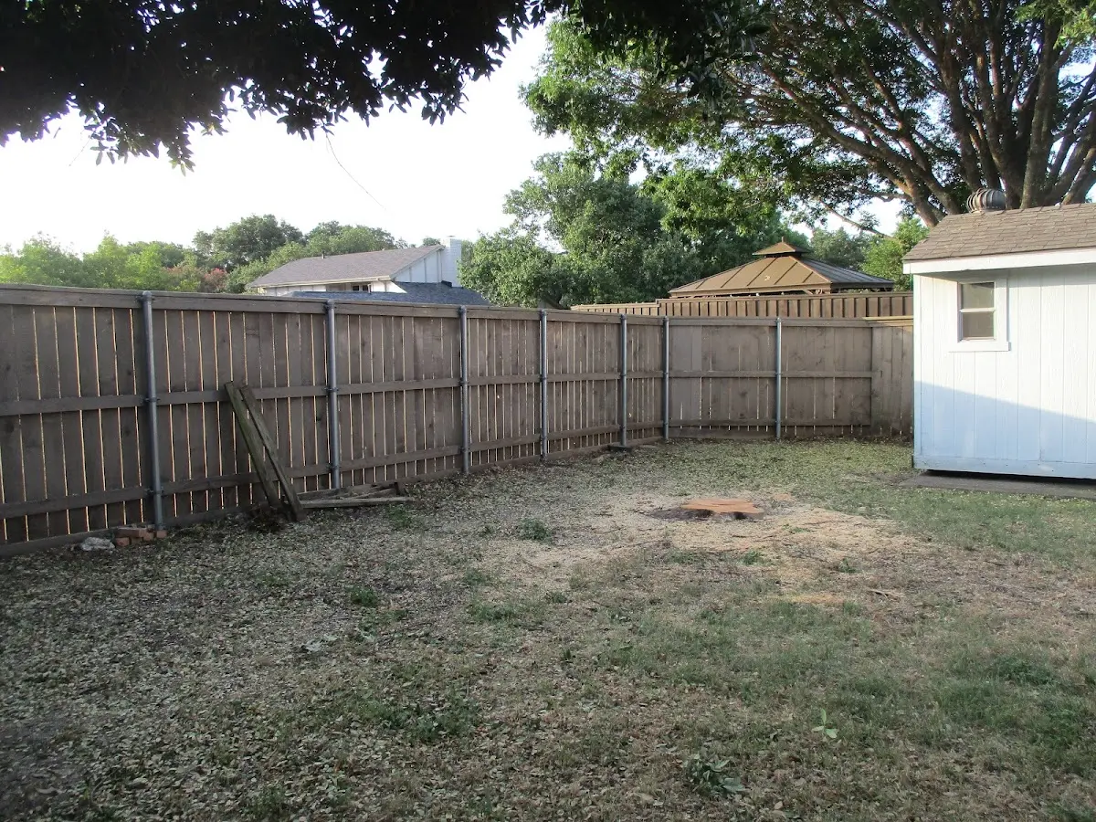 Cleared yard after professional tree removal in Charlotte